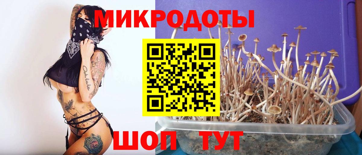 Псилоцибиновые грибы прущие грибы  Вход с VPN  Псилоцибиновые грибы прущие грибы  Ялта 